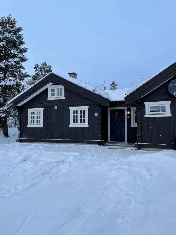 Hytte I Nydelige Jotunhemen - Rett Ved Besseggen Randsverk Exterior foto